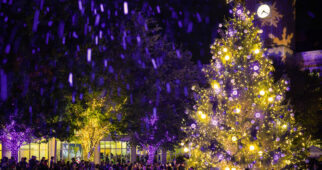 tcu-tree-lighting-2024